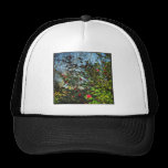 Square Photo - Magnolia Bush 01 chapeaux