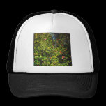 Square Photo - Magnolia Bush 02 chapeaux