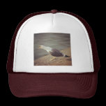 Square Photo - Squawking Seagull chapeaux