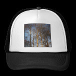 Square Photo - Sunlit Winter Trees chapeaux