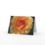 Square Rose Blossom Add-a-Greeting Cards