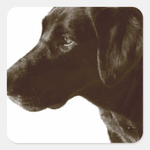 Square Sticker - Customized