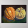 Squash Poster