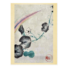 Squash vine with blossom and rainbow post card