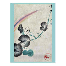 Squash vine with blossom and rainbow postcards