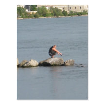squat fishing post cards