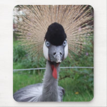 Squawk! Mouse Pad