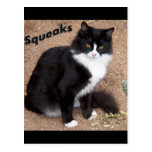 Squeaks Postcards