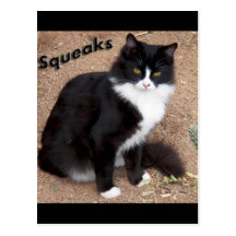 Squeaks Postcards
