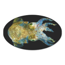 Squid Bobtail Dumpling Stubby Sepiola Atlantica Stickers