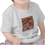 Squid Infant Tee Shirt