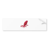Squid - My Conservation Park Bumper Stickers