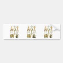 Squid & Octopus Bumper Stickers