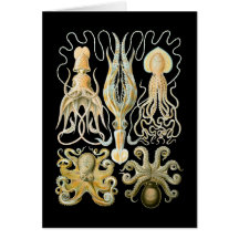 Squid & Octopus Greeting Card