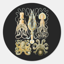 Squid & Octopus Sticker