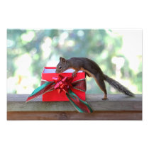 Squirrel and Christmas Present Photo Art