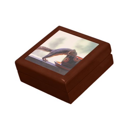 Squirrel and Coffee Cup Trinket Boxes