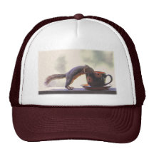 Squirrel and Coffee Cup Trucker Hats