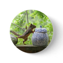 Squirrel and Cookie Jar Pinback Button