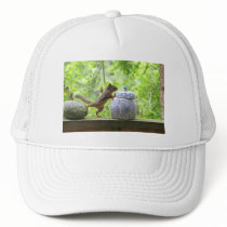 Squirrel and Cookie Jar Hat