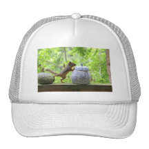 Squirrel and Cookie Jar Hat