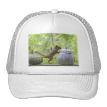 Squirrel and Cookie Jar Mesh Hat
