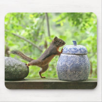 Squirrel and Cookie Jar Mousepad