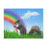 Squirrel and Rainbow Sky Post Card