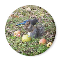 Squirrel And Steller Jay Animal Magnet
