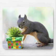 Squirrel and Wrapped Present Mousepad