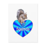 Squirrel Blue Heart Post Cards