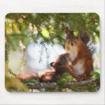 Squirrel Breastfeeding Mousepad