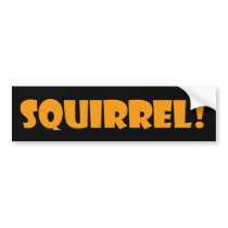 Squirrel Bumper Sticker