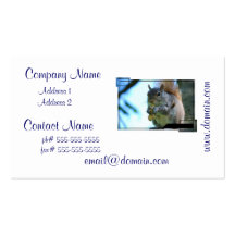 Squirrel Business Card