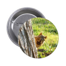 Squirrel button