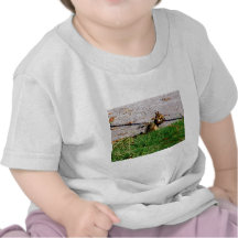 Squirrel By The Road Shirts