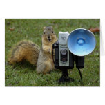 squirrel card large