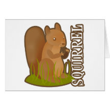 Squirrel Cards