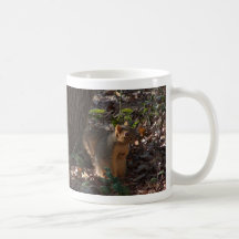 Squirrel Clutching Nut Mug