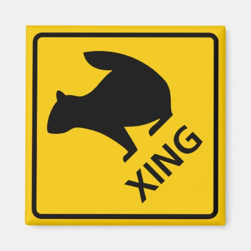 Squirrel Crossing Highway Sign Fridge Magnets