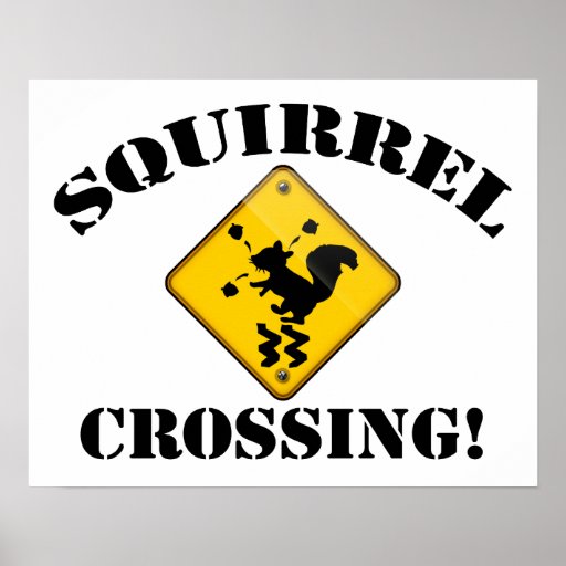 Squirrel Crossing Road Sign Poster | Zazzle