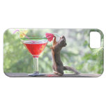 Squirrel Drinking a Cocktail iPhone 5 Case