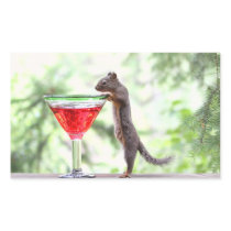 Squirrel Drinking a Cocktail Stickers