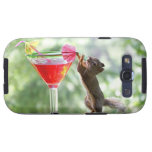Squirrel Drinking Cocktail
