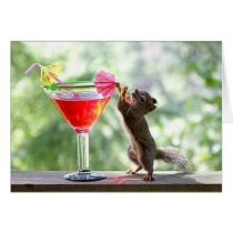Squirrel Drinking Cocktail