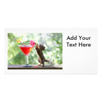 Squirrel Drinking Cocktail