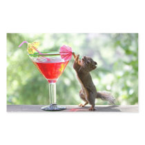 Squirrel Drinking Cocktail