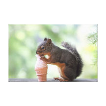 Squirrel Eating an Ice Cream Cone Canvas Prints