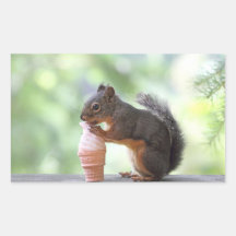 Squirrel Eating an Ice Cream Cone Rectangular Sticker