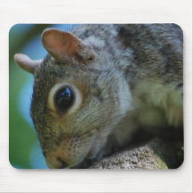 Squirrel Face Mouse Pad